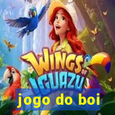 jogo do boi